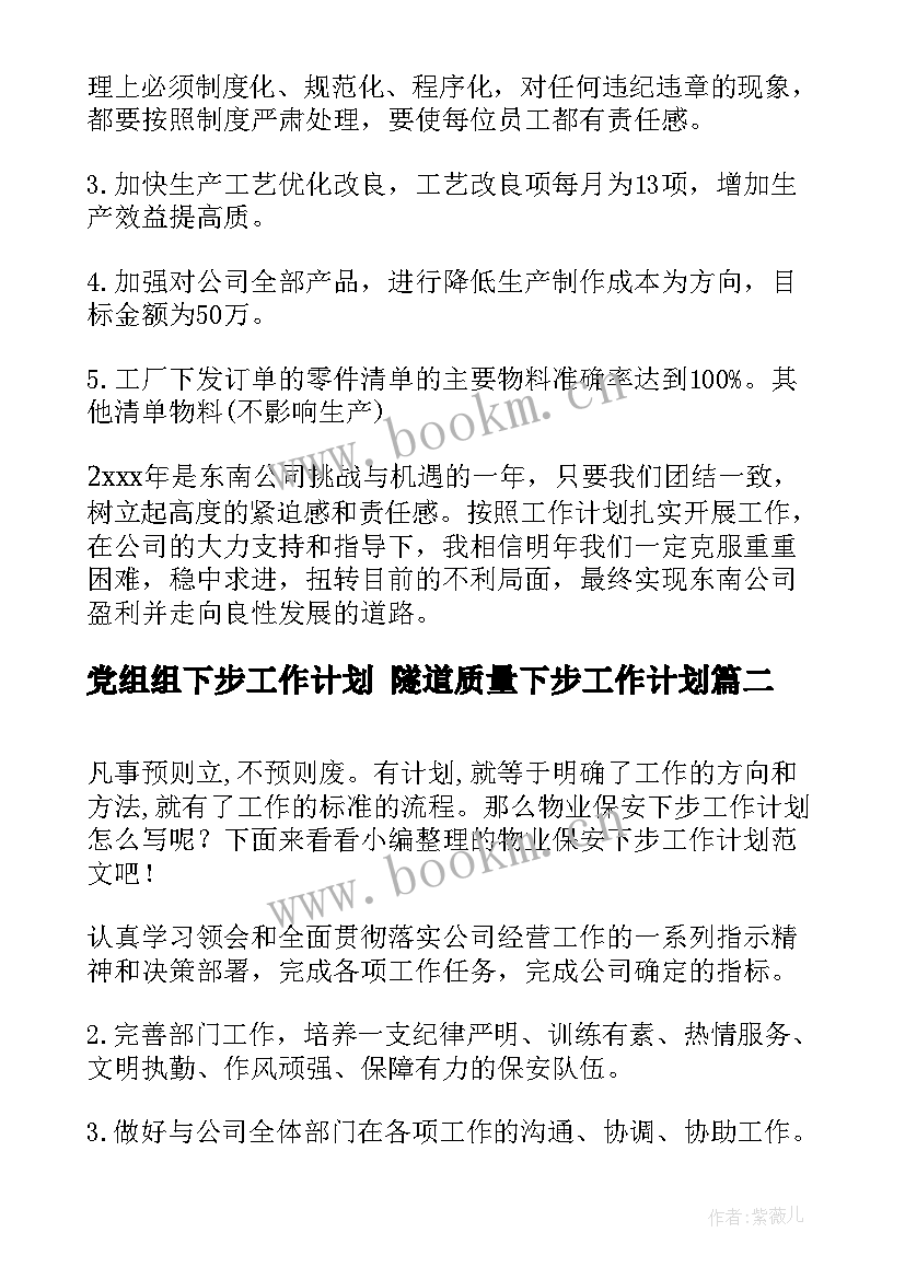 2023年党组组下步工作计划 隧道质量下步工作计划(模板8篇)