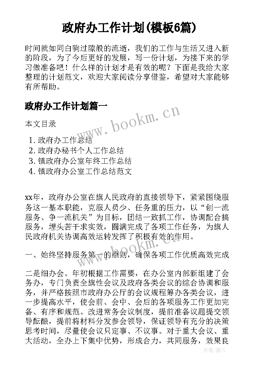 政府办工作计划(模板6篇)