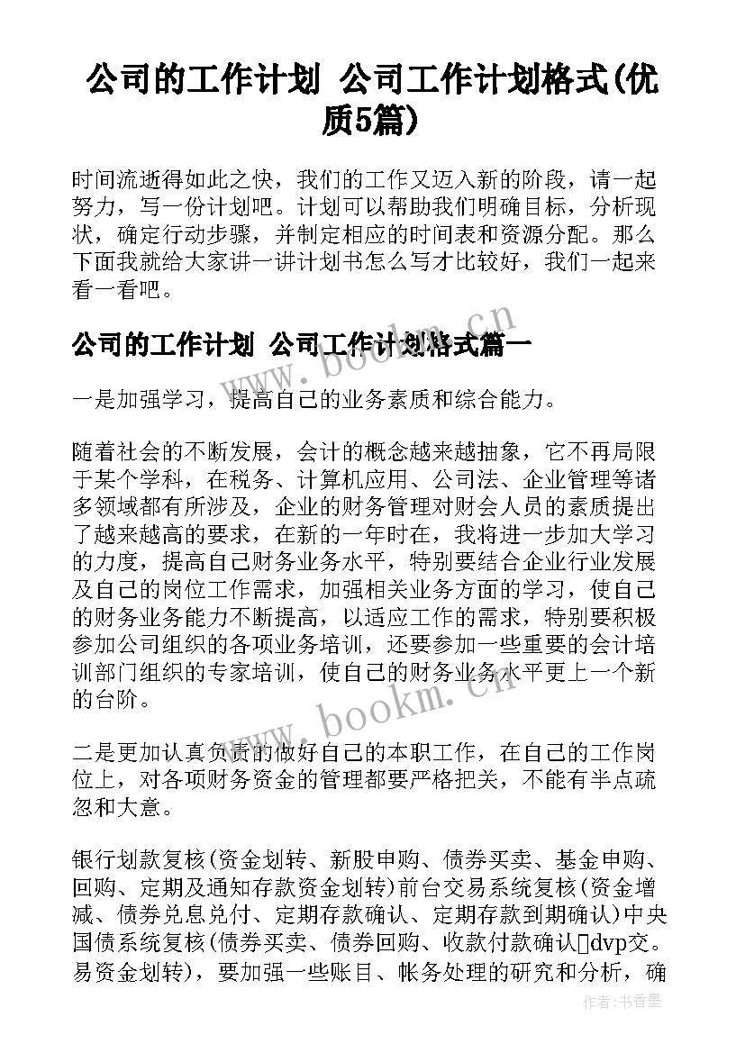 公司的工作计划 公司工作计划格式(优质5篇)