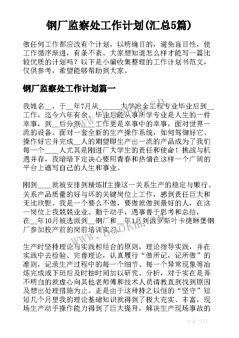 钢厂监察处工作计划(汇总5篇)