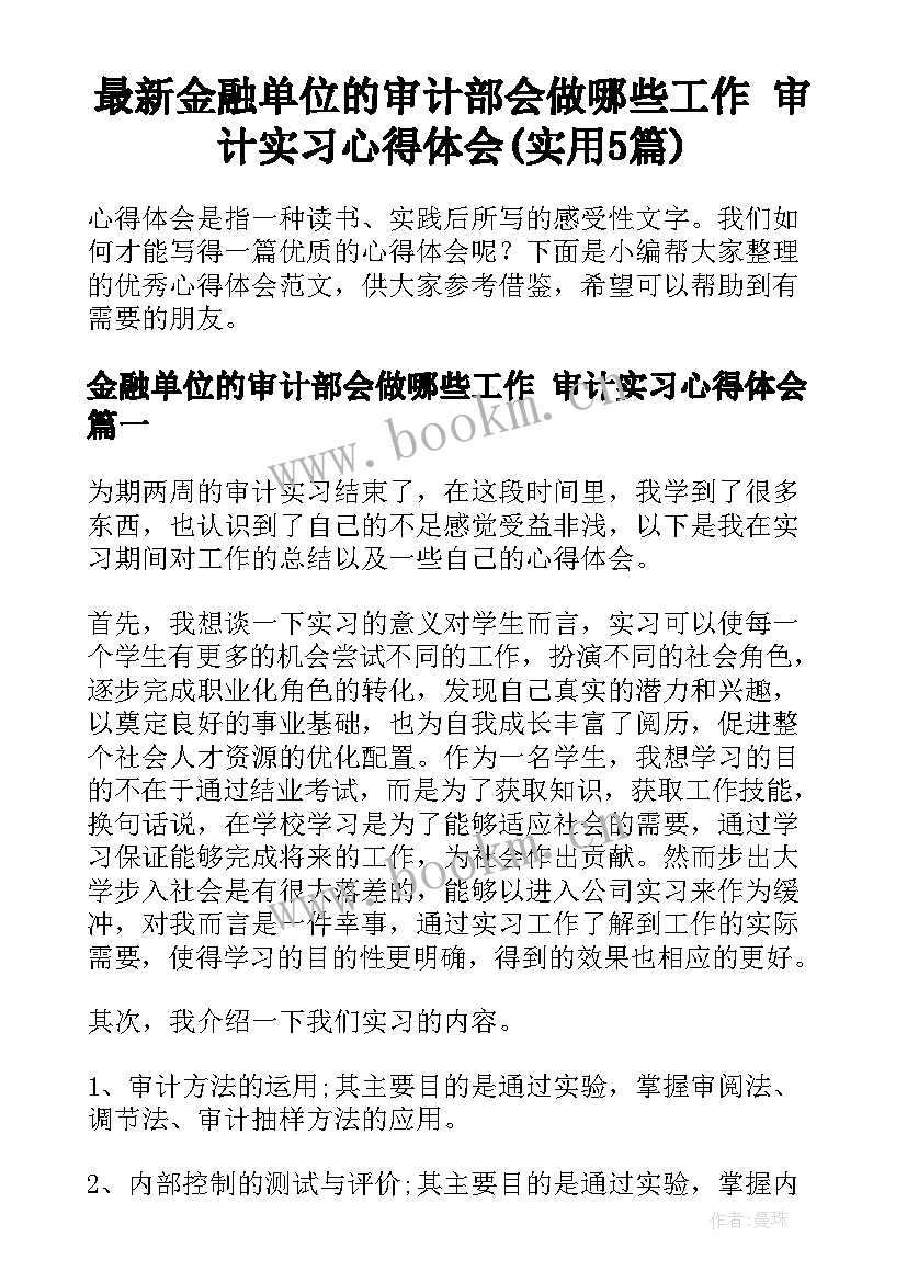 最新金融单位的审计部会做哪些工作 审计实习心得体会(实用5篇)