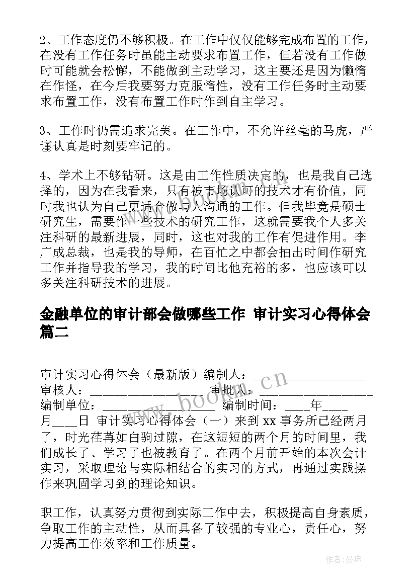 最新金融单位的审计部会做哪些工作 审计实习心得体会(实用5篇)