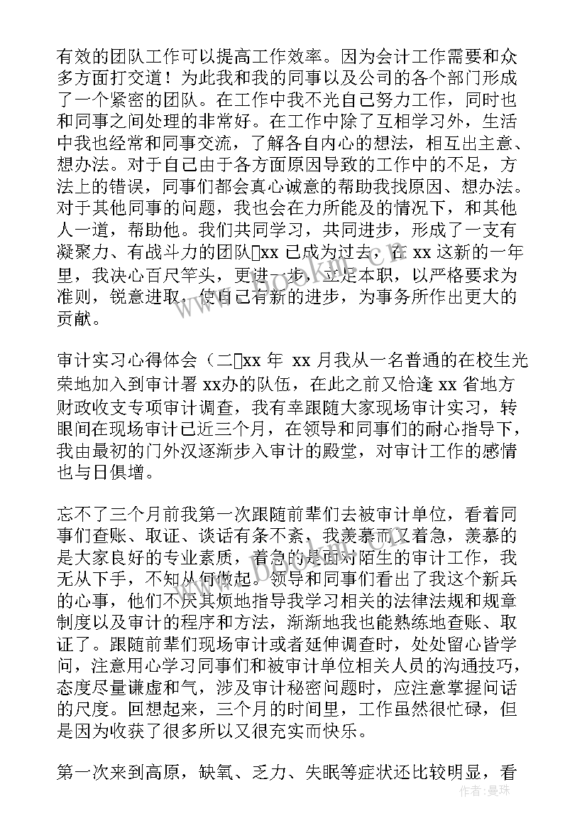 最新金融单位的审计部会做哪些工作 审计实习心得体会(实用5篇)