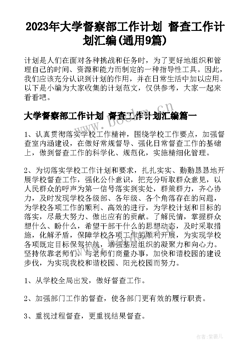 2023年大学督察部工作计划 督查工作计划汇编(通用9篇)