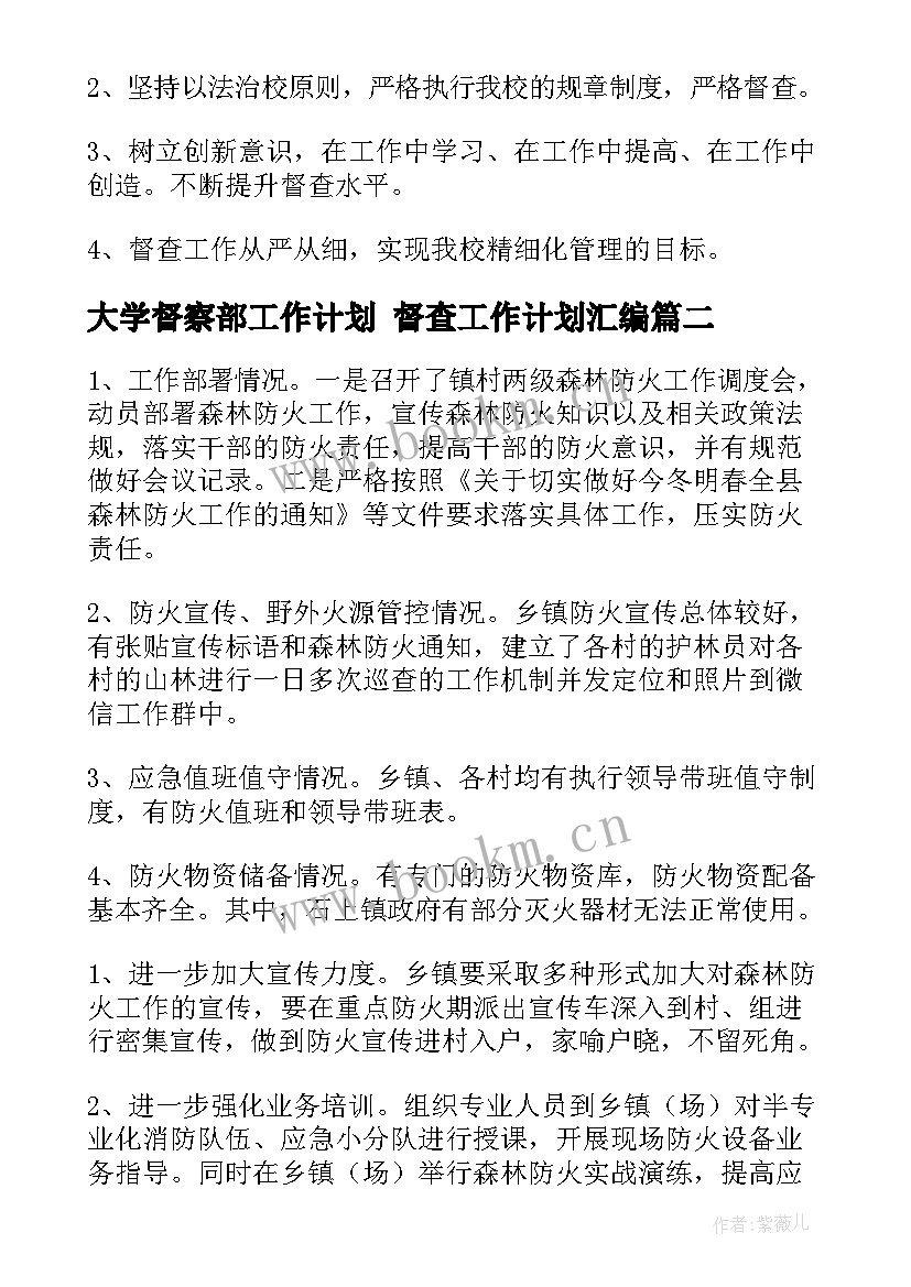 2023年大学督察部工作计划 督查工作计划汇编(通用9篇)