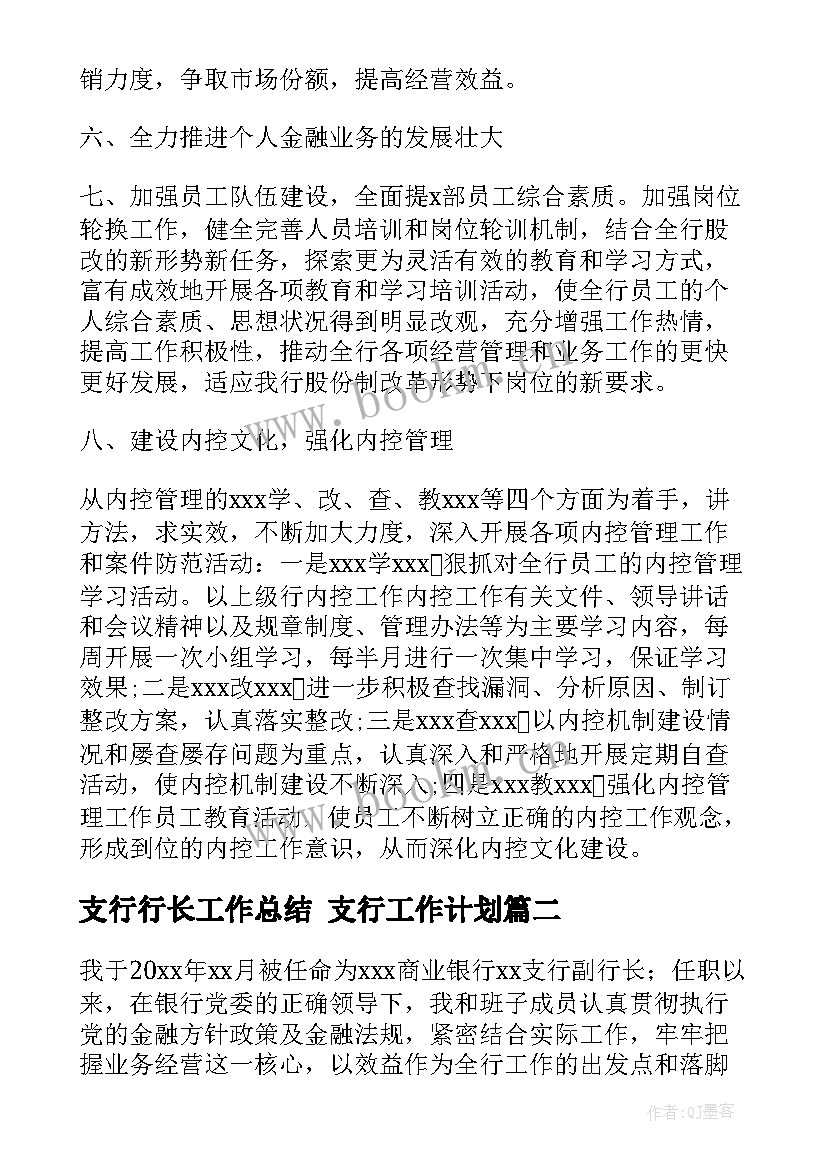 支行行长工作总结 支行工作计划(优秀5篇)