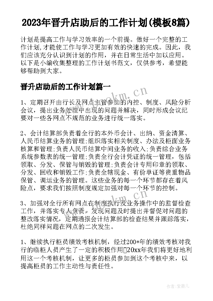 2023年晋升店助后的工作计划(模板8篇)