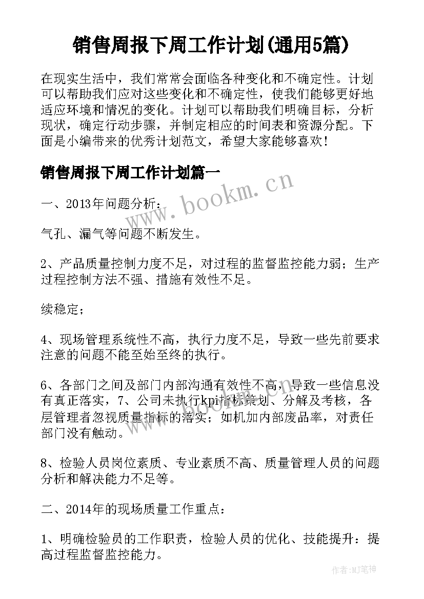 销售周报下周工作计划(通用5篇)