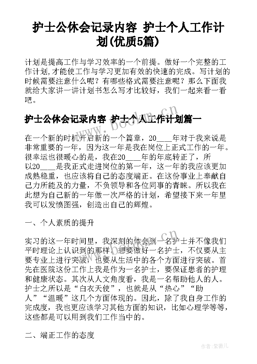 护士公休会记录内容 护士个人工作计划(优质5篇)