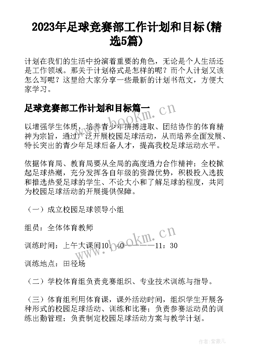 2023年足球竞赛部工作计划和目标(精选5篇)