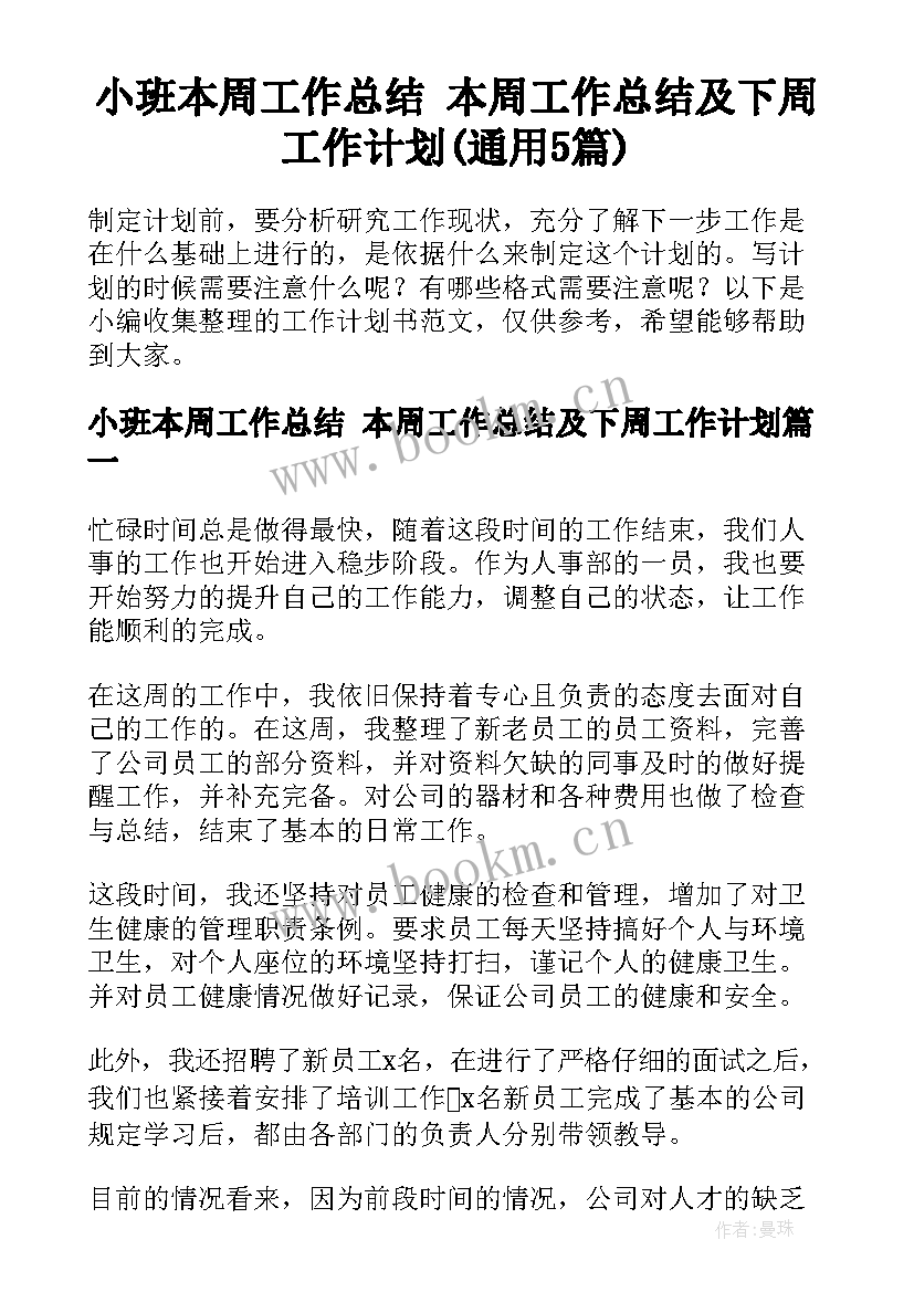 小班本周工作总结 本周工作总结及下周工作计划(通用5篇)