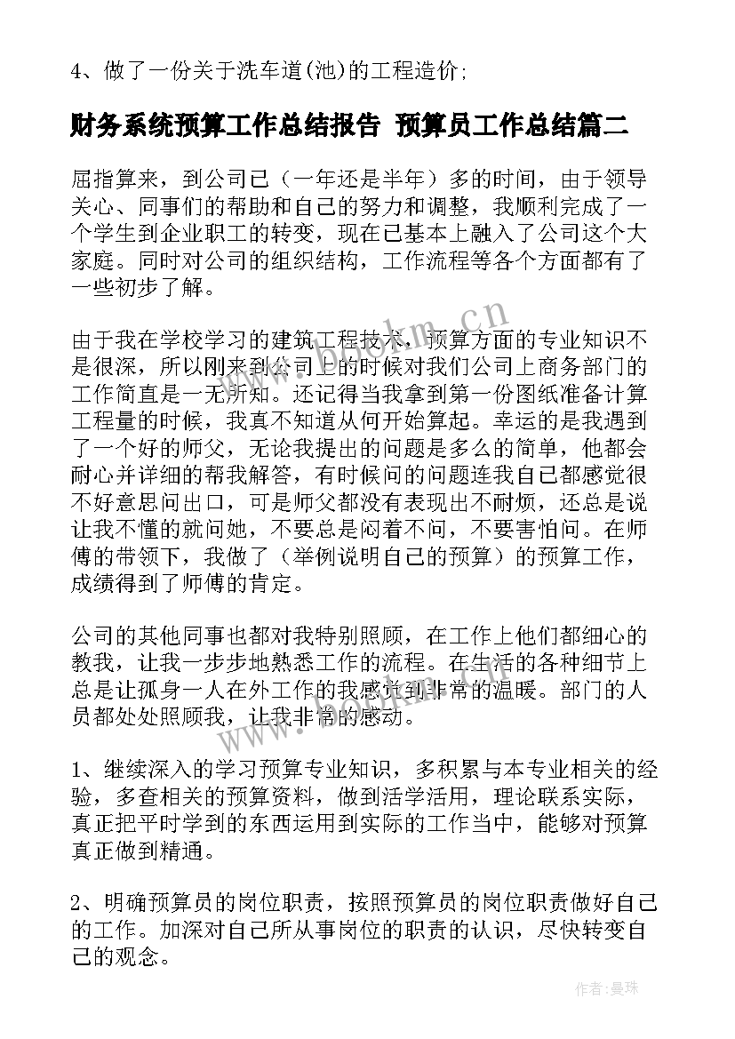 2023年财务系统预算工作总结报告 预算员工作总结(通用8篇)