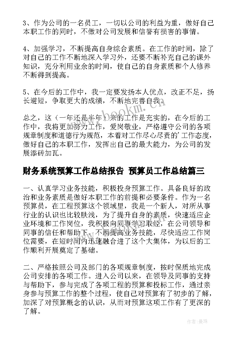 2023年财务系统预算工作总结报告 预算员工作总结(通用8篇)