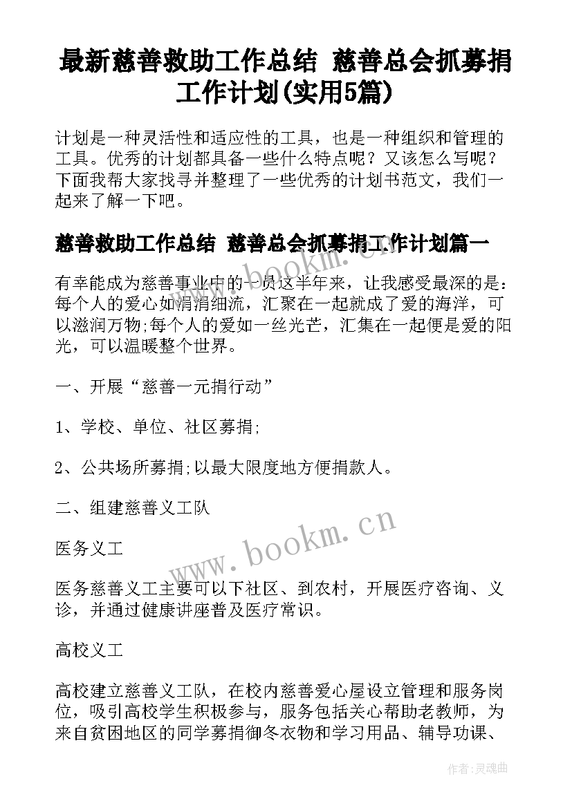 最新慈善救助工作总结 慈善总会抓募捐工作计划(实用5篇)