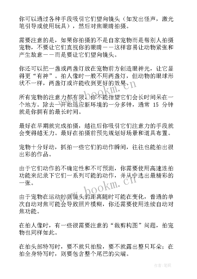 亚马逊规划书(大全7篇)