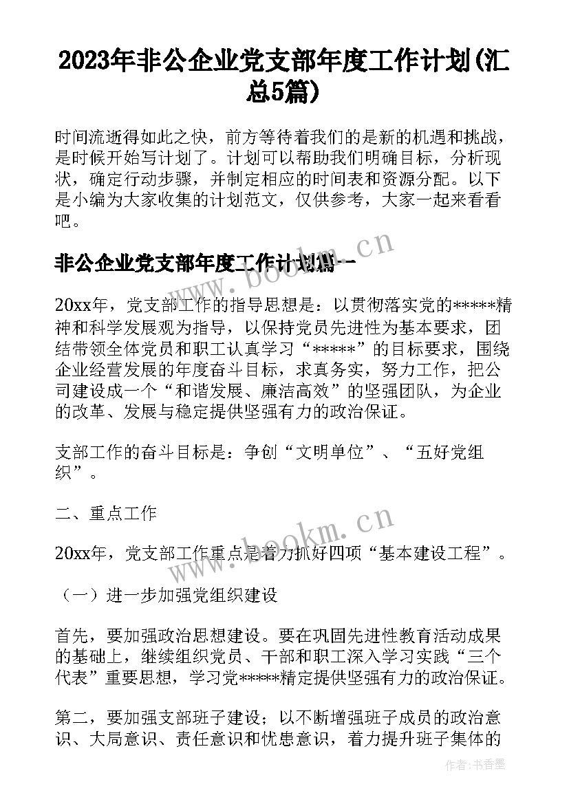 2023年非公企业党支部年度工作计划(汇总5篇)