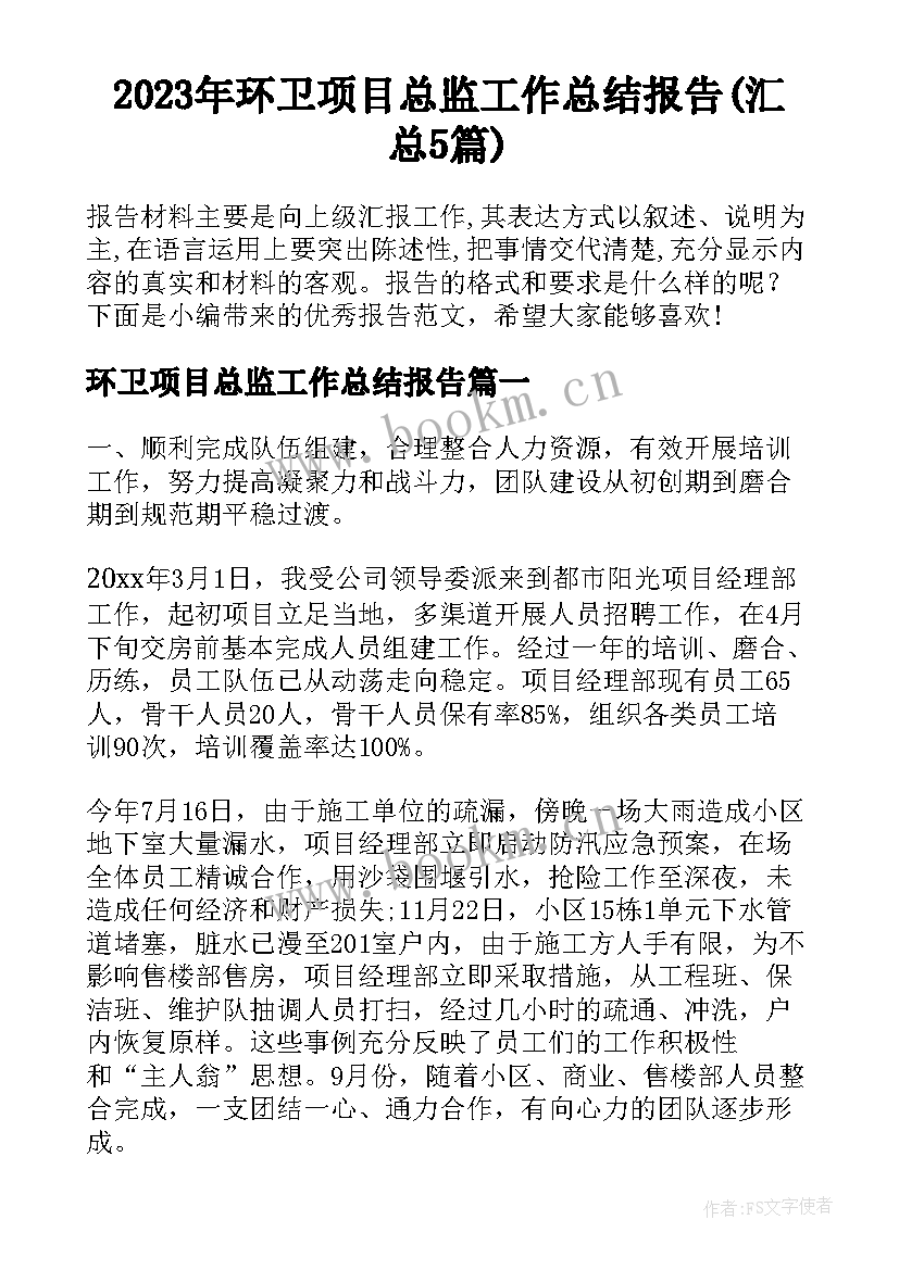 2023年环卫项目总监工作总结报告(汇总5篇)