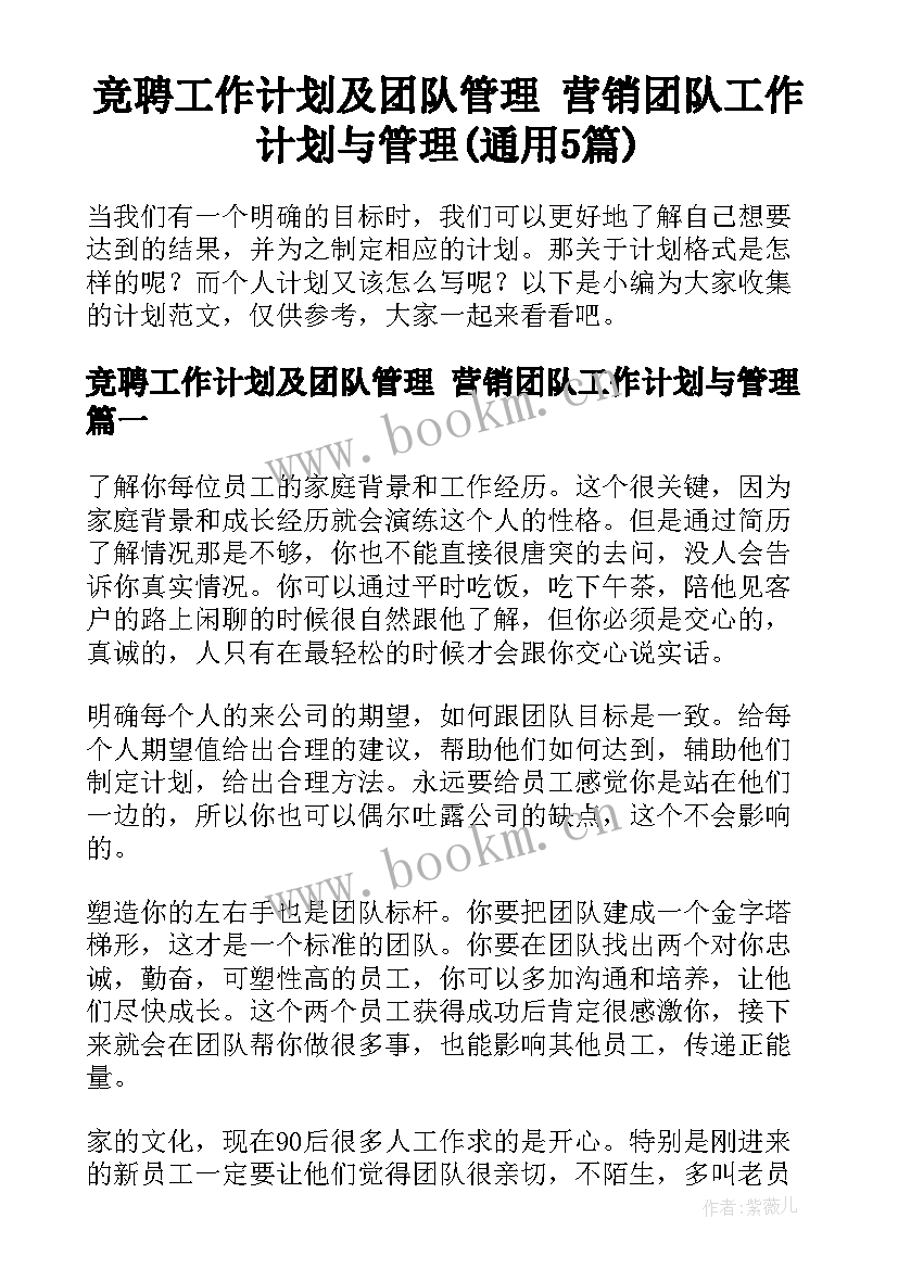 竞聘工作计划及团队管理 营销团队工作计划与管理(通用5篇)