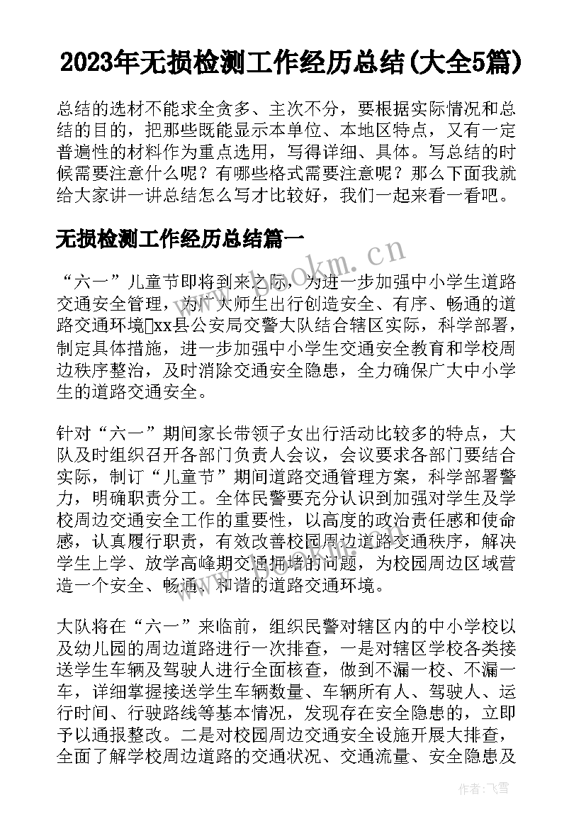 2023年无损检测工作经历总结(大全5篇)