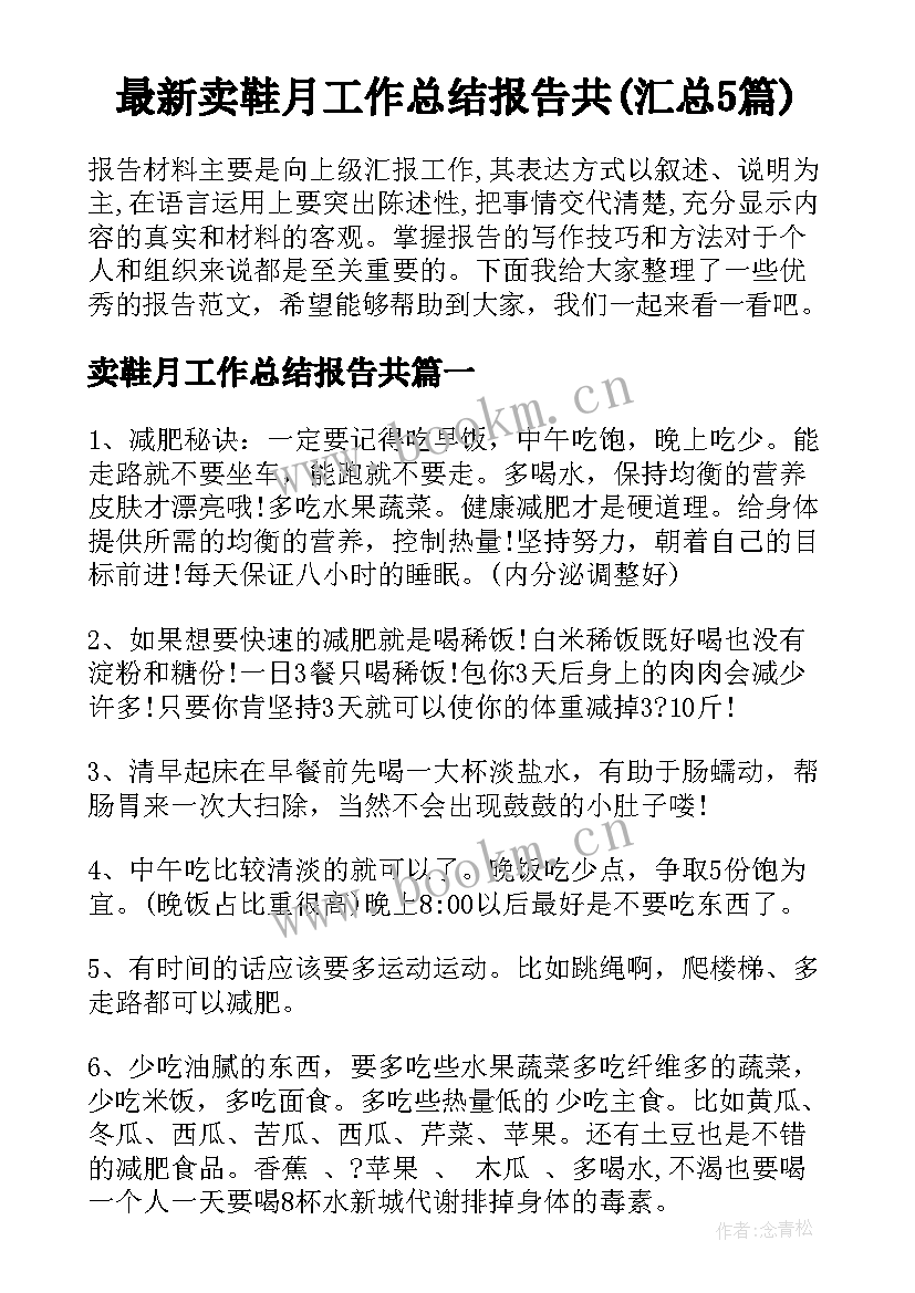 最新卖鞋月工作总结报告共(汇总5篇)