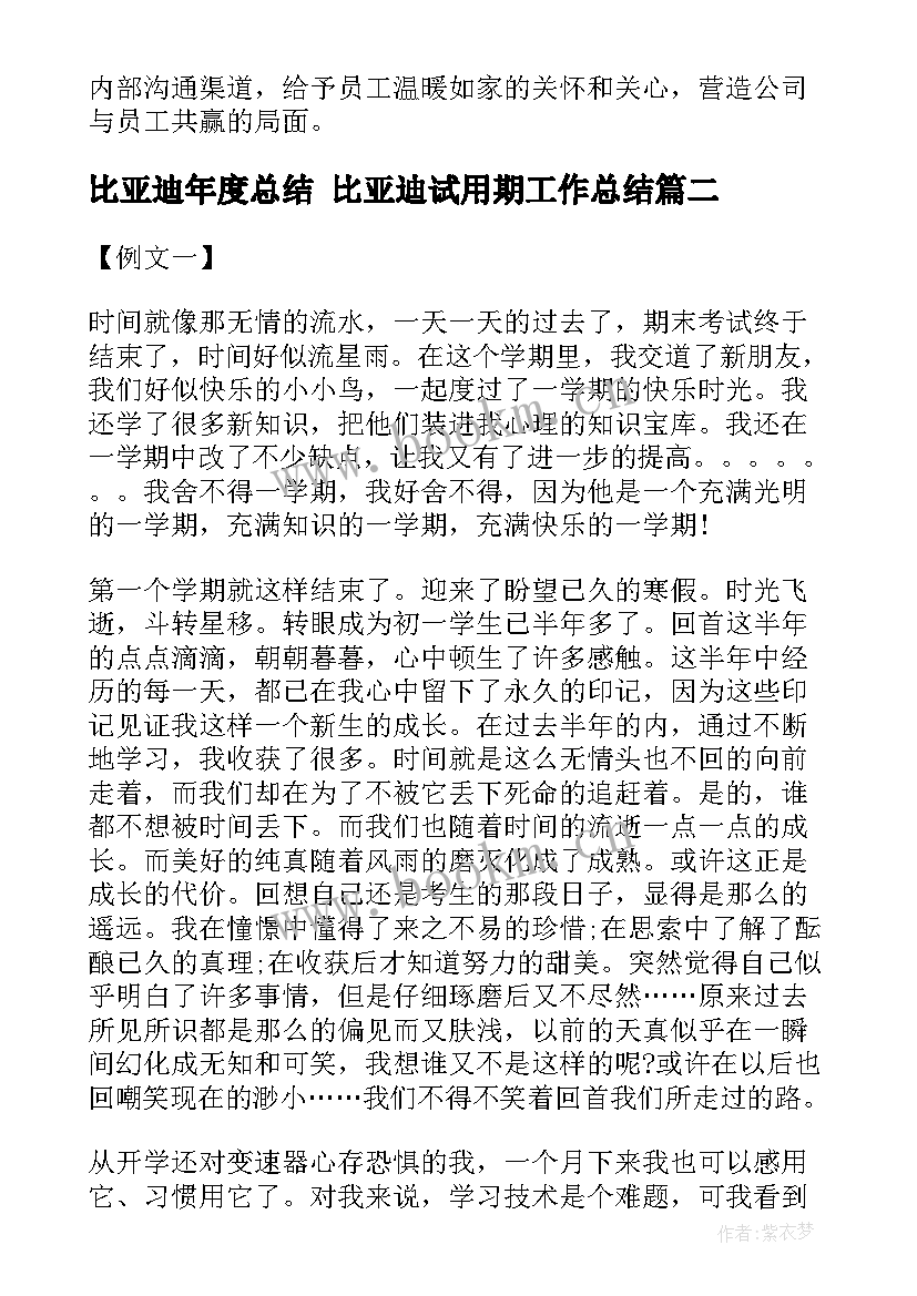 2023年比亚迪年度总结 比亚迪试用期工作总结(通用7篇)