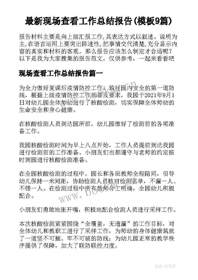 最新现场查看工作总结报告(模板9篇)