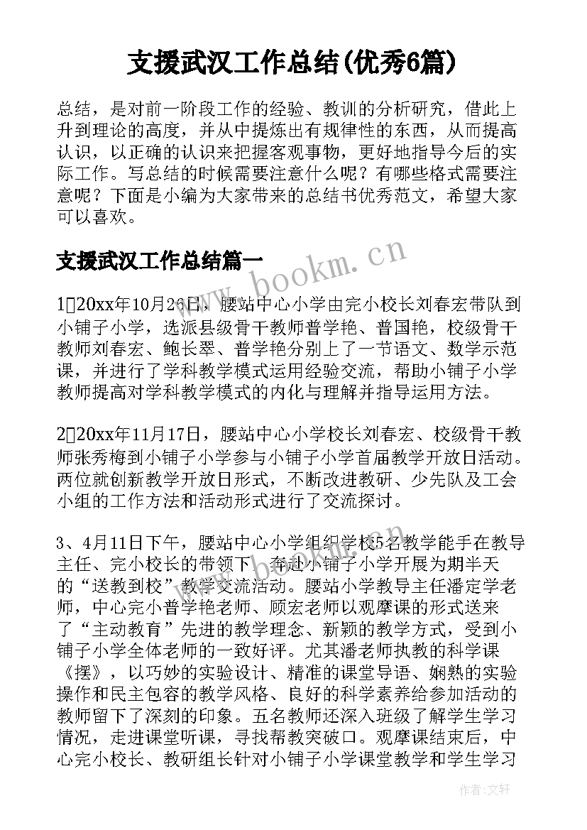 支援武汉工作总结(优秀6篇)