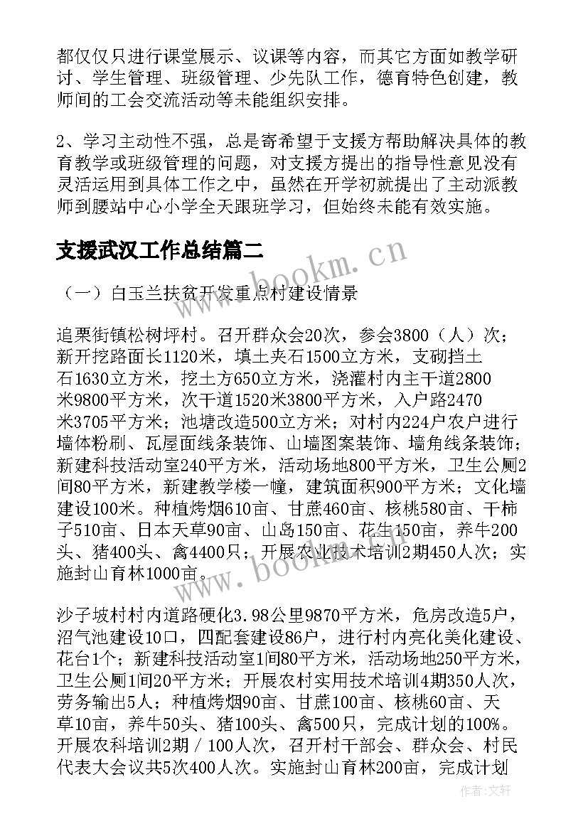 支援武汉工作总结(优秀6篇)