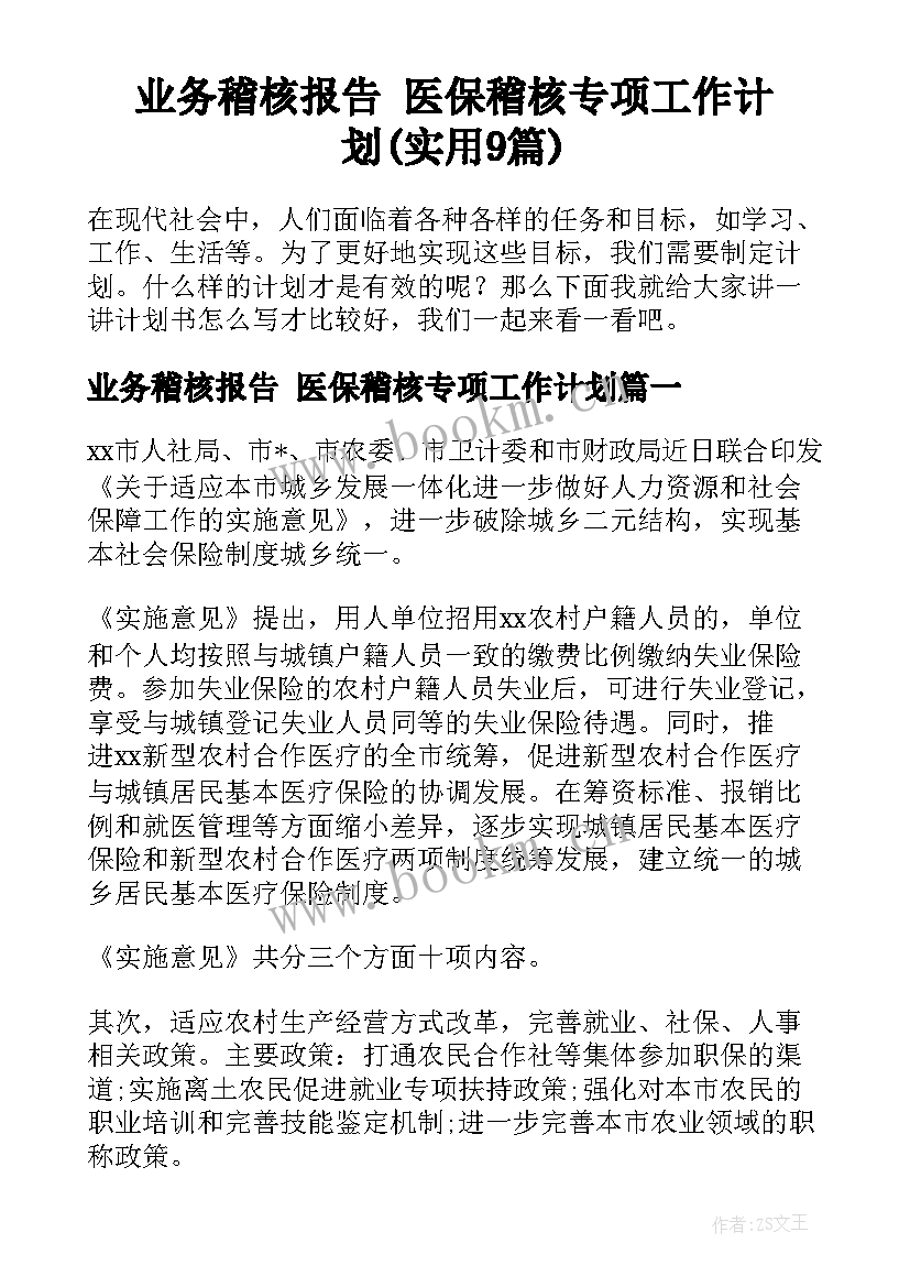 业务稽核报告 医保稽核专项工作计划(实用9篇)