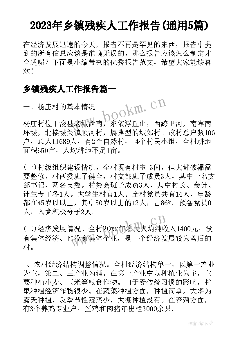 2023年乡镇残疾人工作报告(通用5篇)