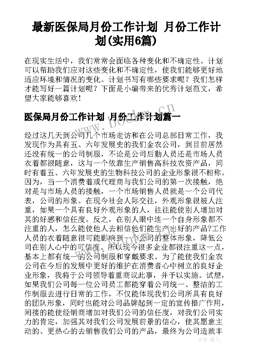 最新医保局月份工作计划 月份工作计划(实用6篇)