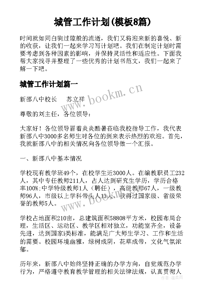 城管工作计划(模板8篇)