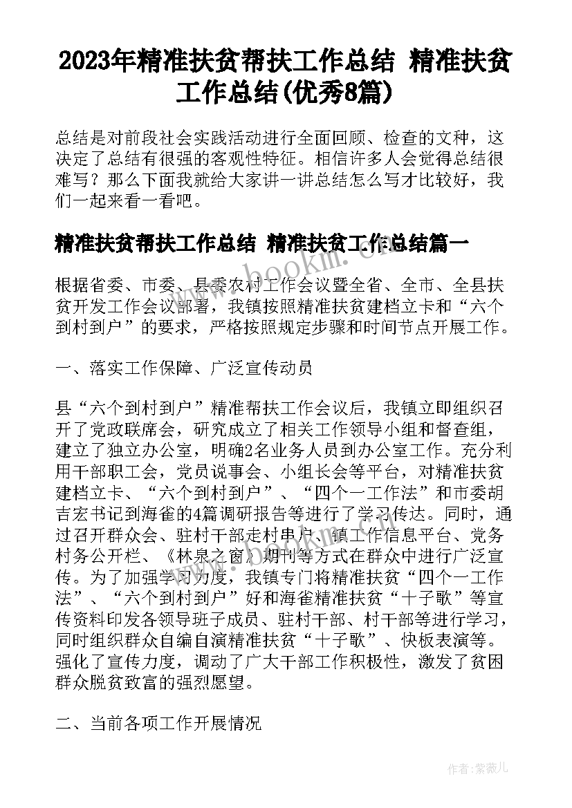 2023年精准扶贫帮扶工作总结 精准扶贫工作总结(优秀8篇)