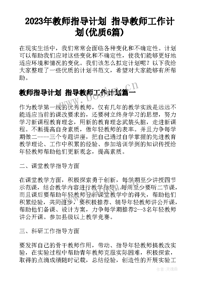 2023年教师指导计划 指导教师工作计划(优质6篇)