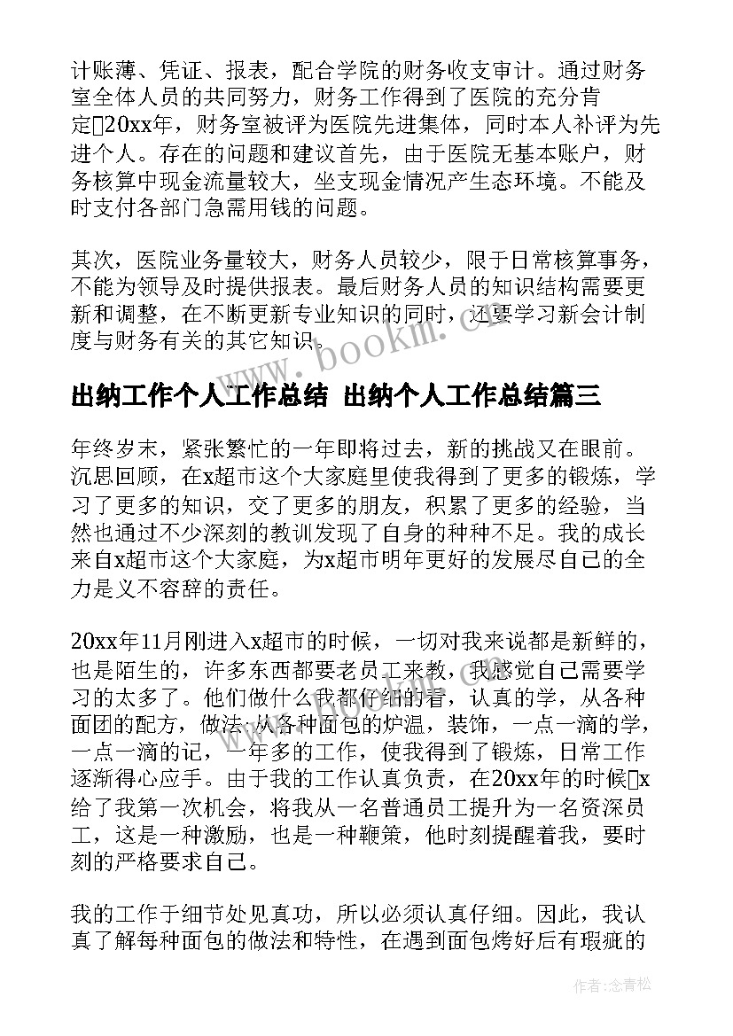 2023年出纳工作个人工作总结 出纳个人工作总结(大全10篇)