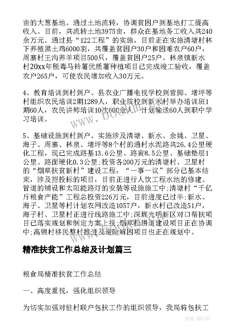 精准扶贫工作总结及计划(精选7篇)