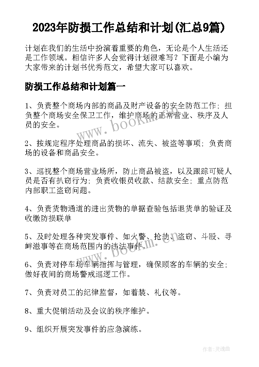 2023年防损工作总结和计划(汇总9篇)