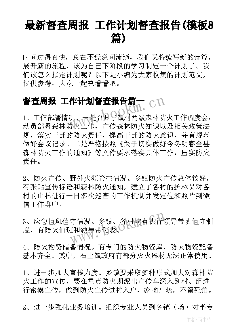 最新督查周报 工作计划督查报告(模板8篇)