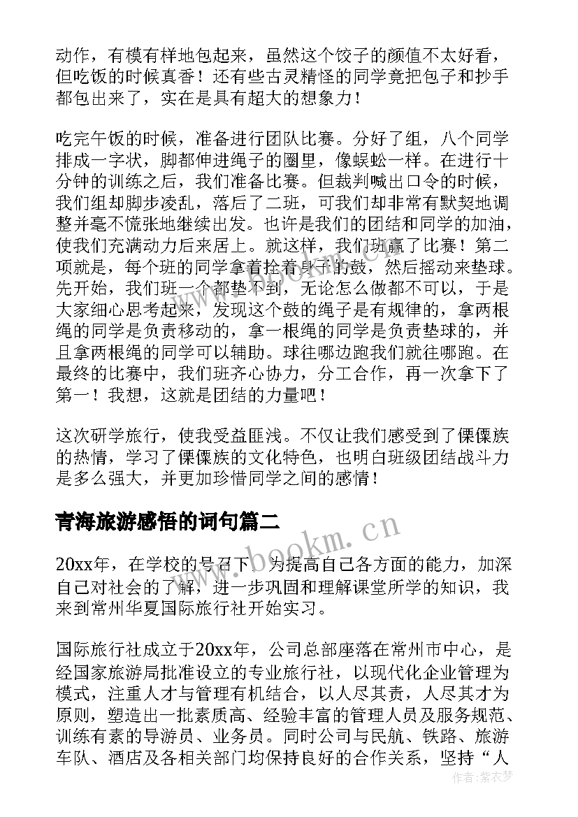 2023年青海旅游感悟的词句(优秀6篇)