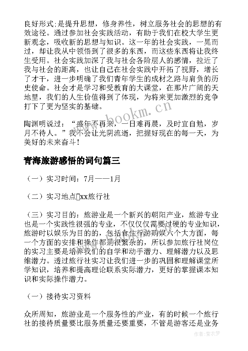 2023年青海旅游感悟的词句(优秀6篇)