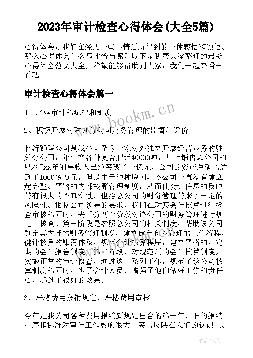 2023年审计检查心得体会(大全5篇)