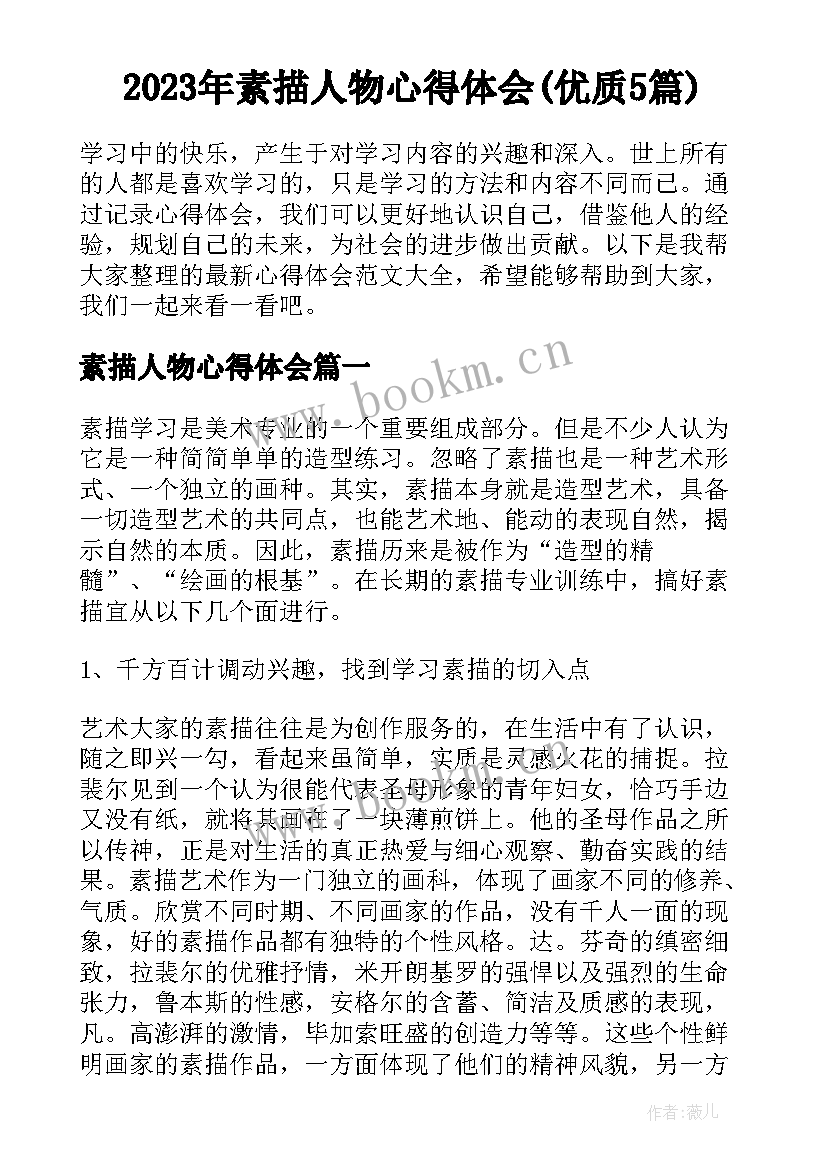 2023年素描人物心得体会(优质5篇)