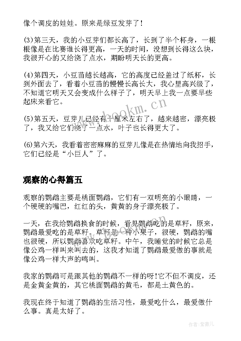 最新观察的心得(模板9篇)