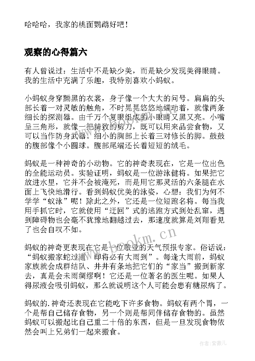 最新观察的心得(模板9篇)