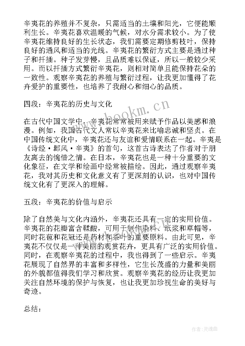 2023年辛夷坞感悟(模板5篇)