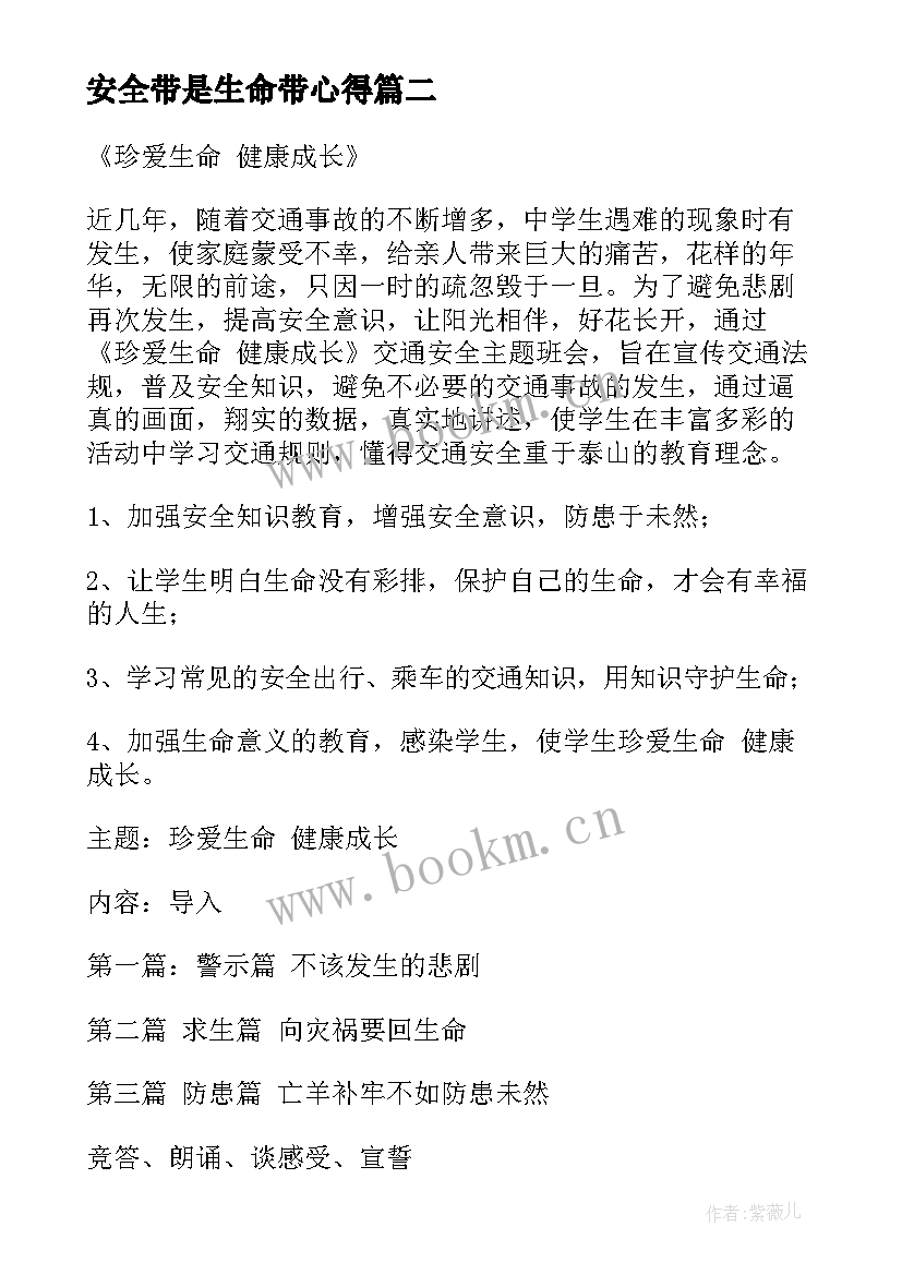 2023年安全带是生命带心得 班会教案(优秀6篇)