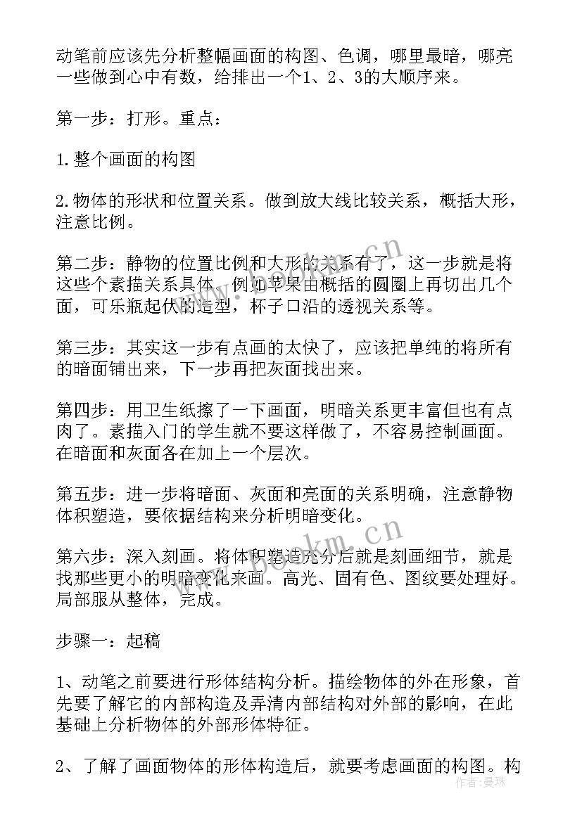 2023年静物素描总结报告 学习静物素生的基本步骤(大全5篇)