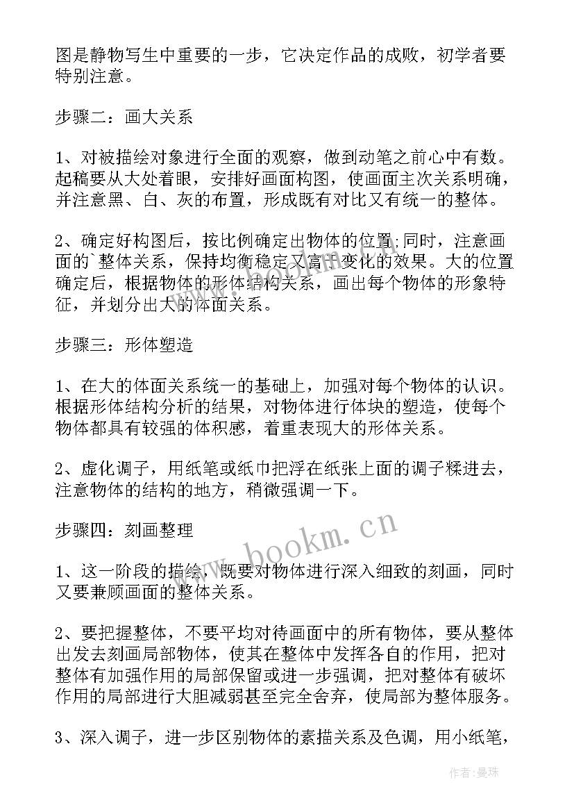 2023年静物素描总结报告 学习静物素生的基本步骤(大全5篇)