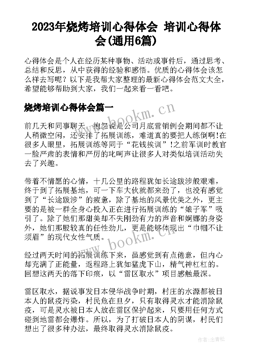 2023年烧烤培训心得体会 培训心得体会(通用6篇)