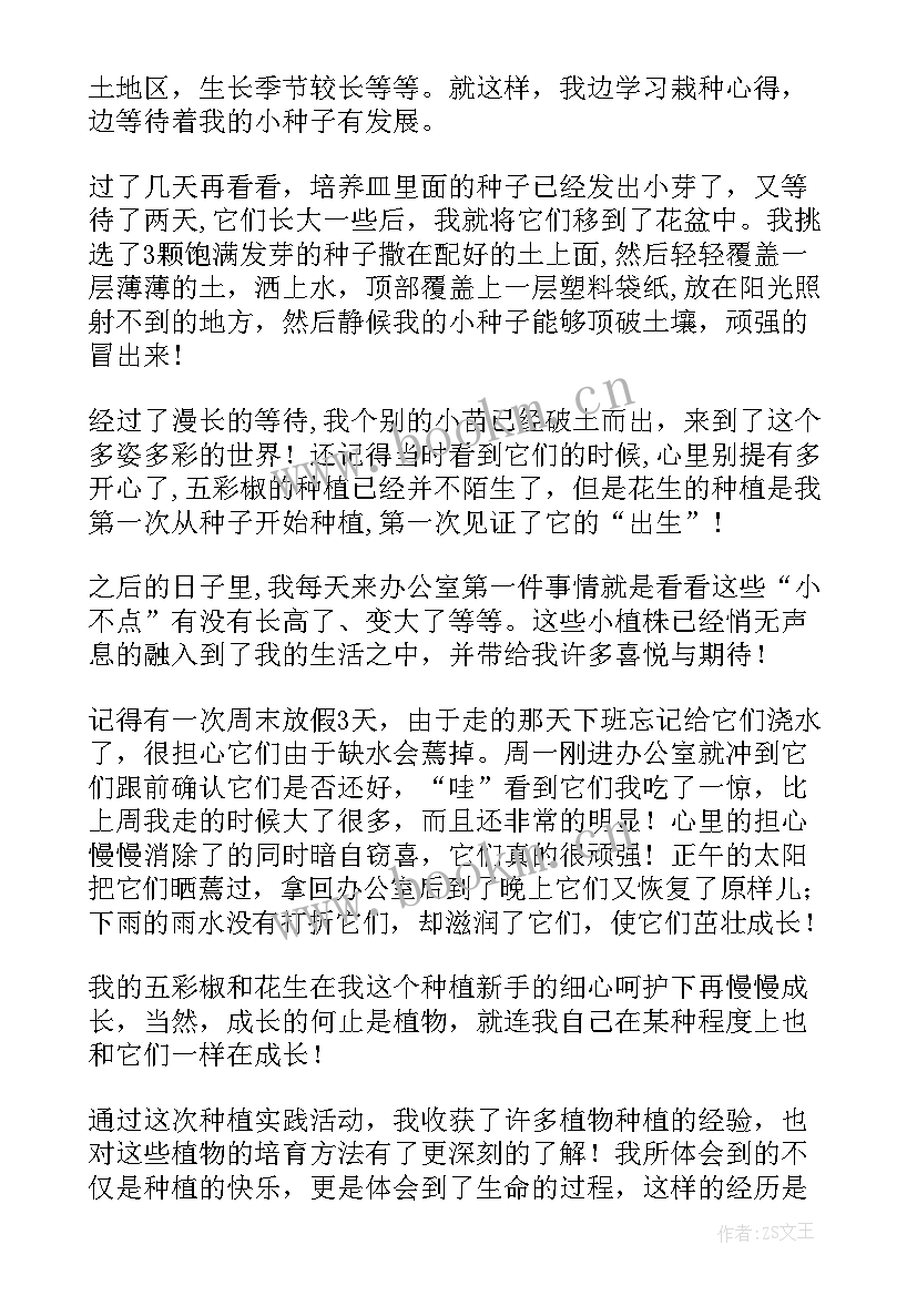最新医学影像技术心得体会(精选8篇)